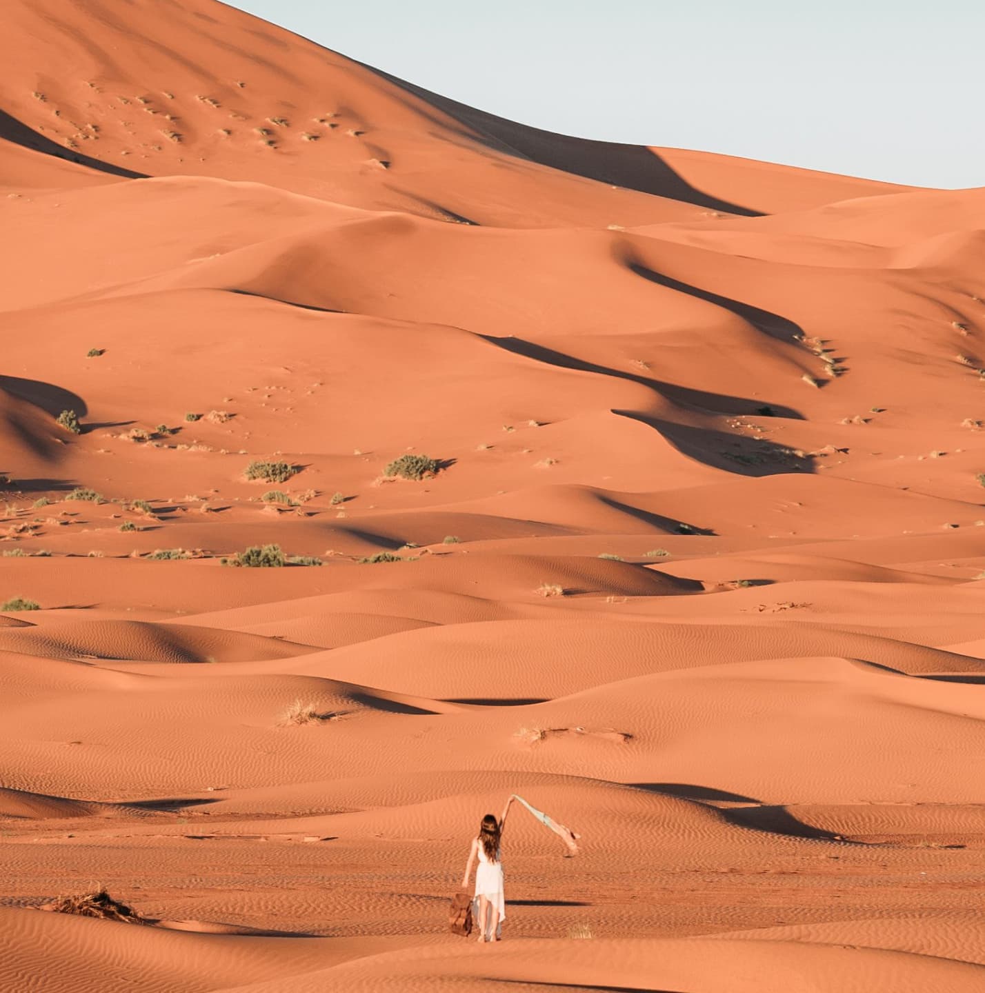 Golden desert sand dunes at dawn