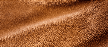 Base notes warm amber foundation